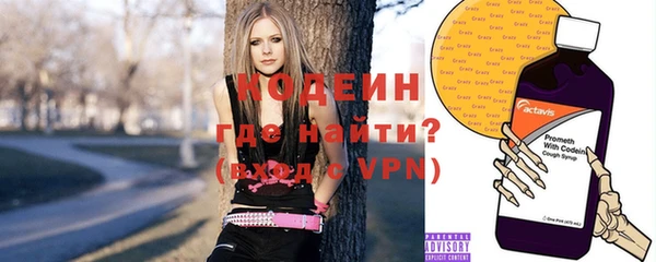 прущие грибы Мегион