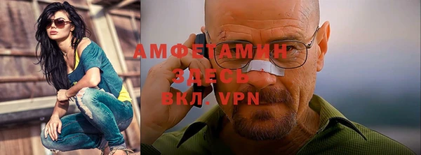 прущие грибы Мегион