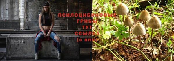 apvp Майский